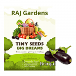 Brinjal Seeds